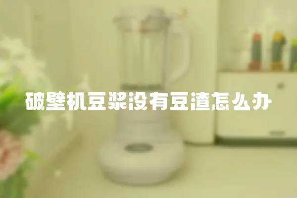 破壁機豆漿沒有豆渣怎么辦