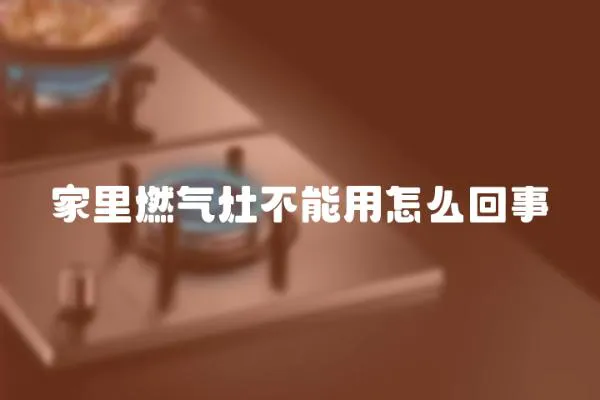 家里燃?xì)庠畈荒苡迷趺椿厥?></a></div>
                    <div   id=