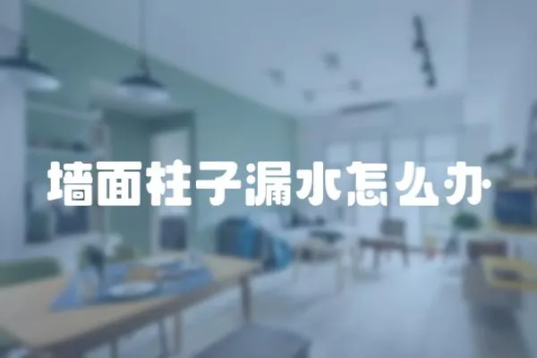 墻面柱子漏水怎么辦