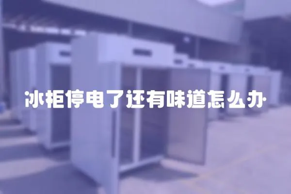 冰柜停電了還有味道怎么辦