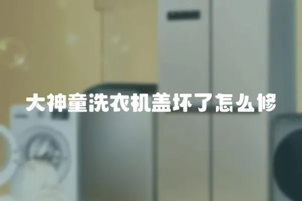 大神童洗衣機蓋壞了怎么修
