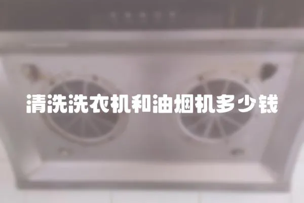 清洗洗衣機和油煙機多少錢