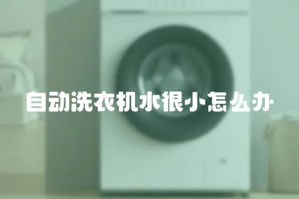自動洗衣機水很小怎么辦