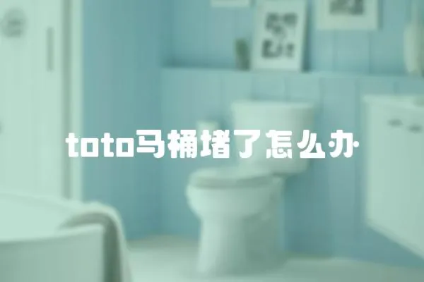 toto馬桶堵了怎么辦