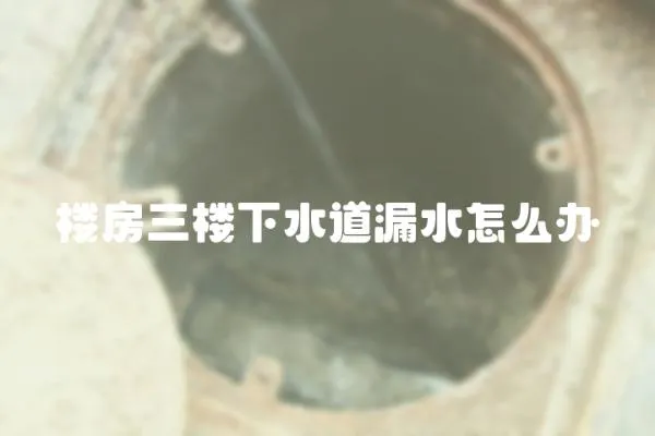樓房三樓下水道漏水怎么辦