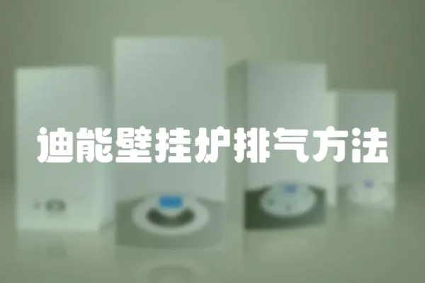 迪能壁掛爐排氣方法
