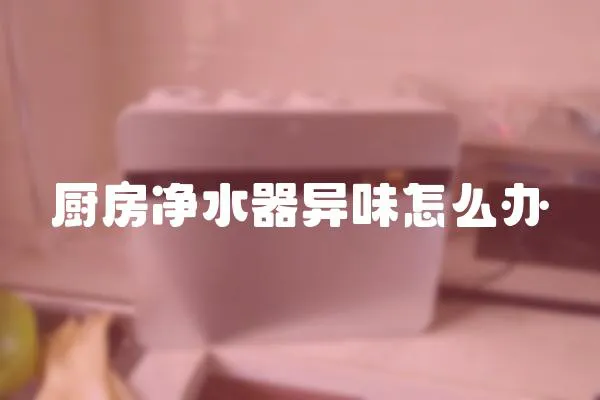 廚房凈水器異味怎么辦