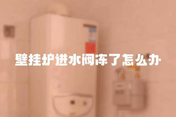 壁掛爐進水閥凍了怎么辦