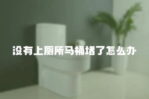 沒(méi)有上廁所馬桶堵了怎么辦