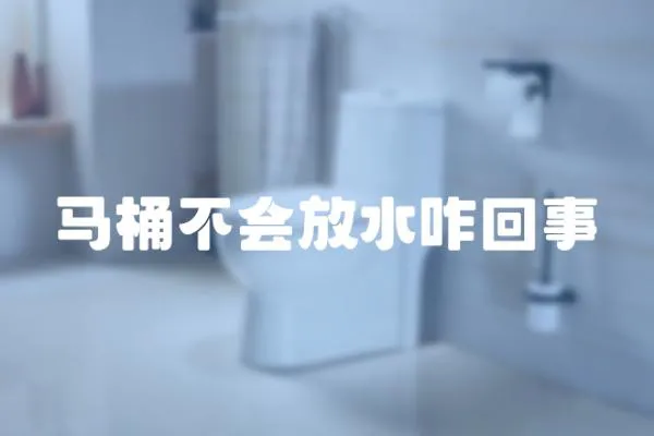 馬桶不會(huì)放水咋回事