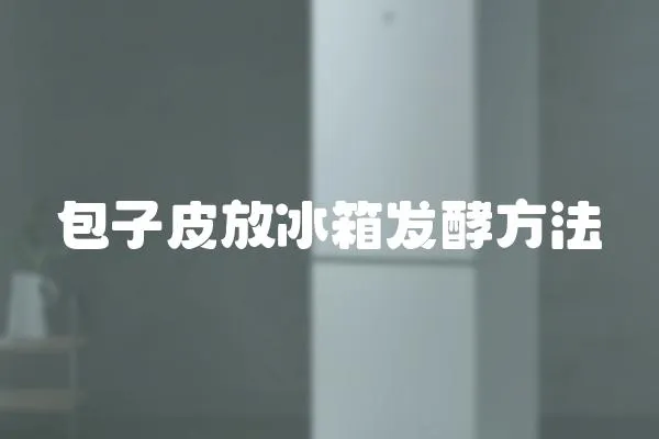 包子皮放冰箱發(fā)酵方法