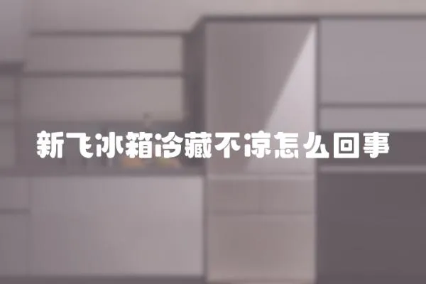 新飛冰箱冷藏不涼怎么回事