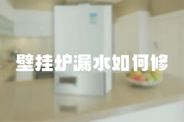 壁掛爐漏水如何修