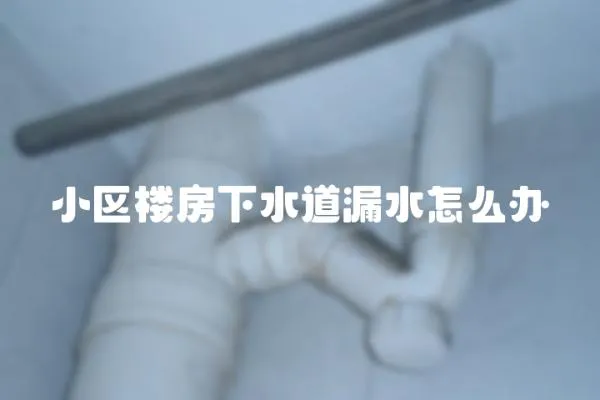 小區樓房下水道漏水怎么辦