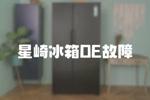 星崎冰箱DE故障