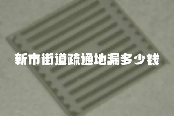 新市街道疏通地漏多少錢