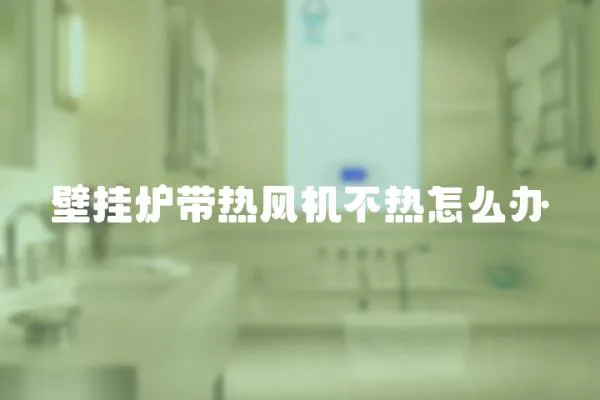 壁掛爐帶熱風機不熱怎么辦