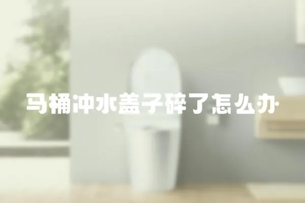 馬桶沖水蓋子碎了怎么辦