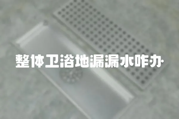 整體衛浴地漏漏水咋辦
