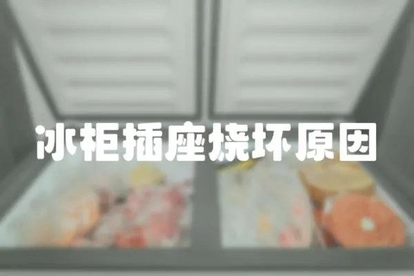 冰柜插座燒壞原因