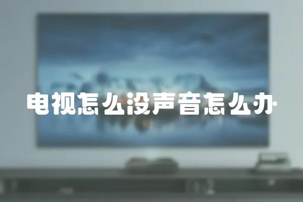 電視怎么沒聲音怎么辦