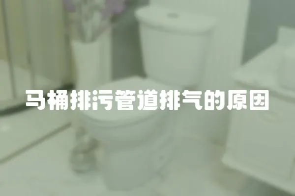 馬桶排污管道排氣的原因