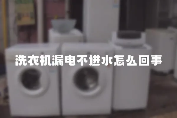 洗衣機漏電不進水怎么回事