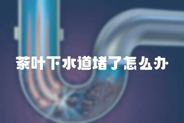 茶葉下水道堵了怎么辦