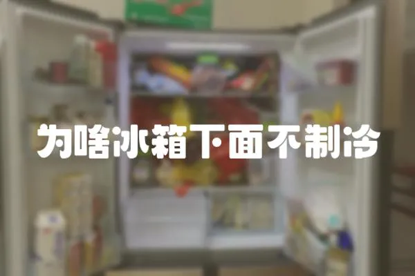 為啥冰箱下面不制冷
