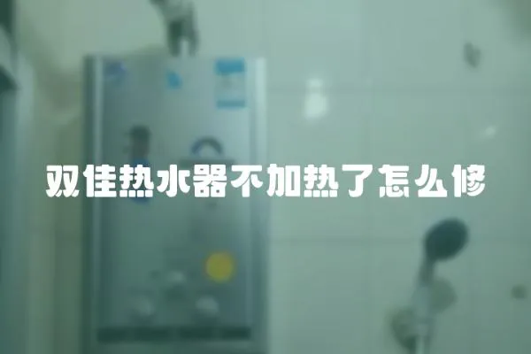 雙佳熱水器不加熱了怎么修