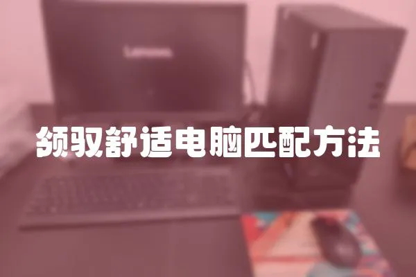 領馭舒適電腦匹配方法