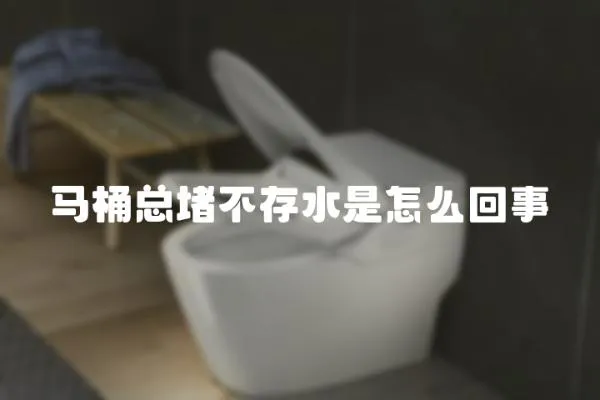 馬桶總堵不存水是怎么回事