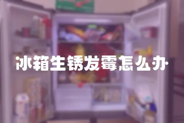 冰箱生銹發霉怎么辦