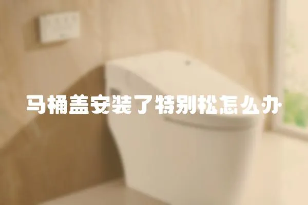 馬桶蓋安裝了特別松怎么辦