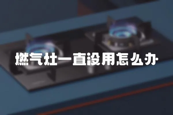 燃?xì)庠钜恢睕]用怎么辦