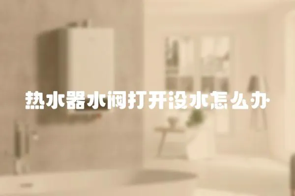 熱水器水閥打開沒水怎么辦