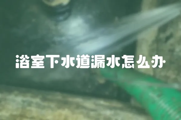 浴室下水道漏水怎么辦