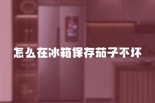 怎么在冰箱保存茄子不壞