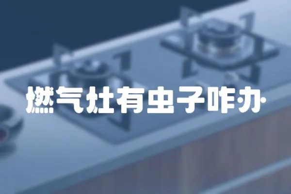 燃氣灶有蟲子咋辦