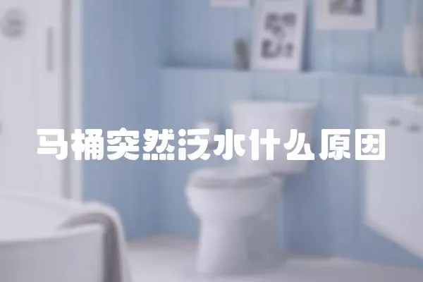 馬桶突然泛水什么原因