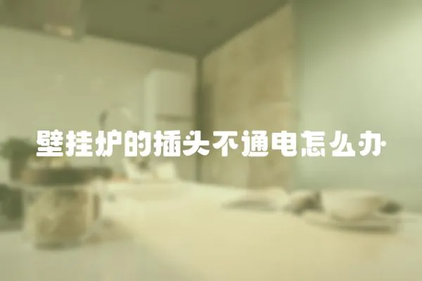 壁掛爐的插頭不通電怎么辦