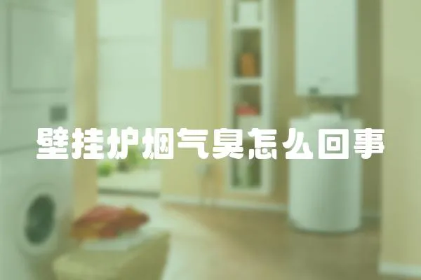 壁掛爐煙氣臭怎么回事