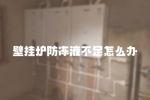 壁掛爐防凍液不足怎么辦