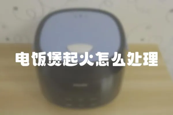電飯煲起火怎么處理