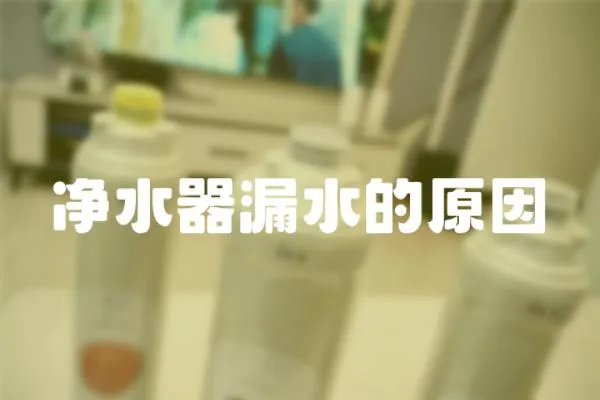 凈水器漏水的原因