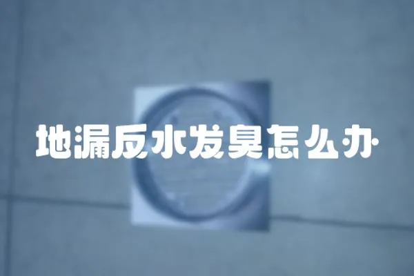 地漏反水發臭怎么辦