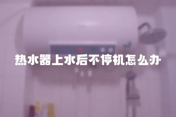 熱水器上水后不停機怎么辦