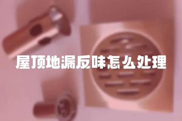 屋頂?shù)芈┓次对趺刺幚?></a></div>
                    <div   id=