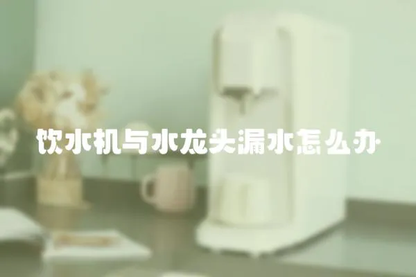 飲水機與水龍頭漏水怎么辦