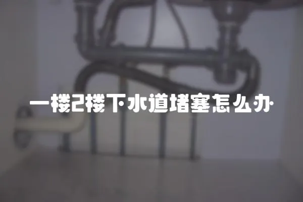 一樓2樓下水道堵塞怎么辦